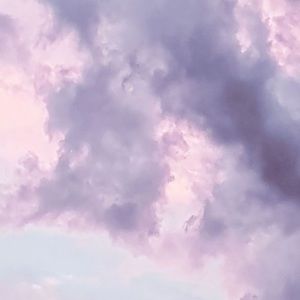 Meet your Posher, Elise